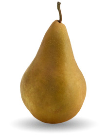 Bosc Pear